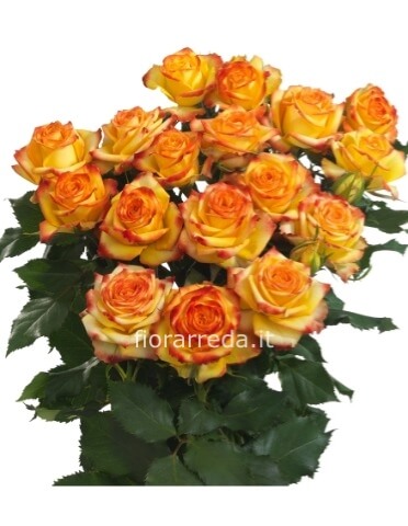 Rose arancio misura media 60 cm