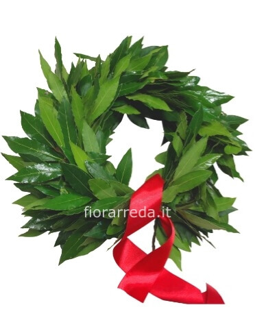 Coroncina di alloro per laurea