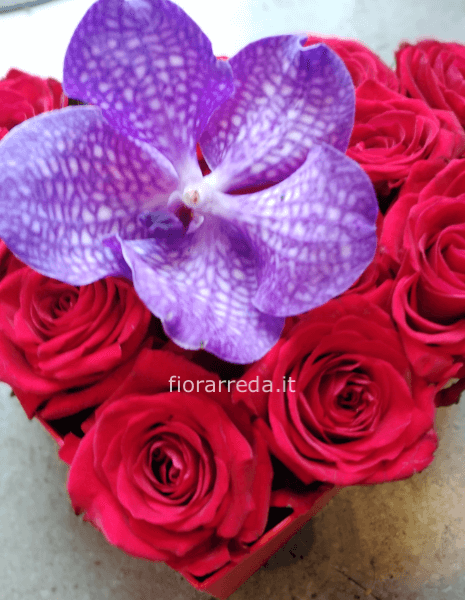 Cuore di rose rosse 