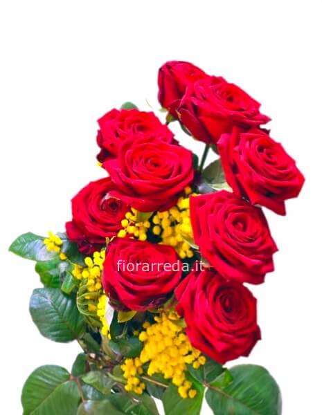 Rose rosse lunghe a stelo con mimosa